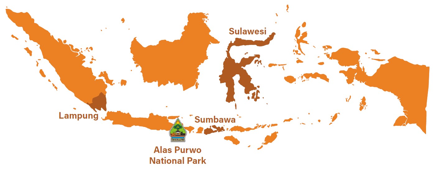 Map Indonesia
